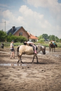 III turnus PÓŁKOLONII KONNEJ - 10 - 14 lipca 2017 r. Katarzyna Krociel Fotografia